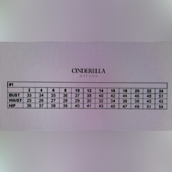 Cinderella Divine Gold Mist Gown - Picture 11 of 12